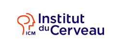 Institut du Cerveau Logo
